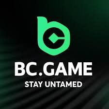 How to Play BC.Game Miner - A Comprehensive Guide